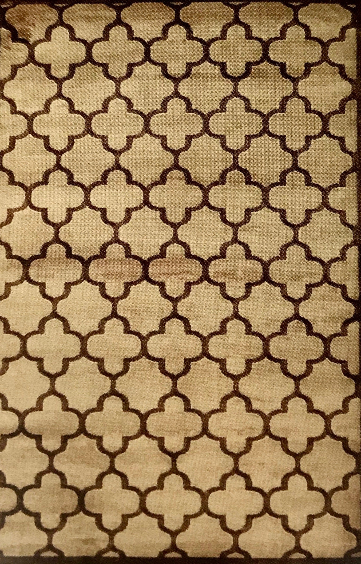 PM2968FIP Trellis 2 Beige and Brown Rug 5 x 7