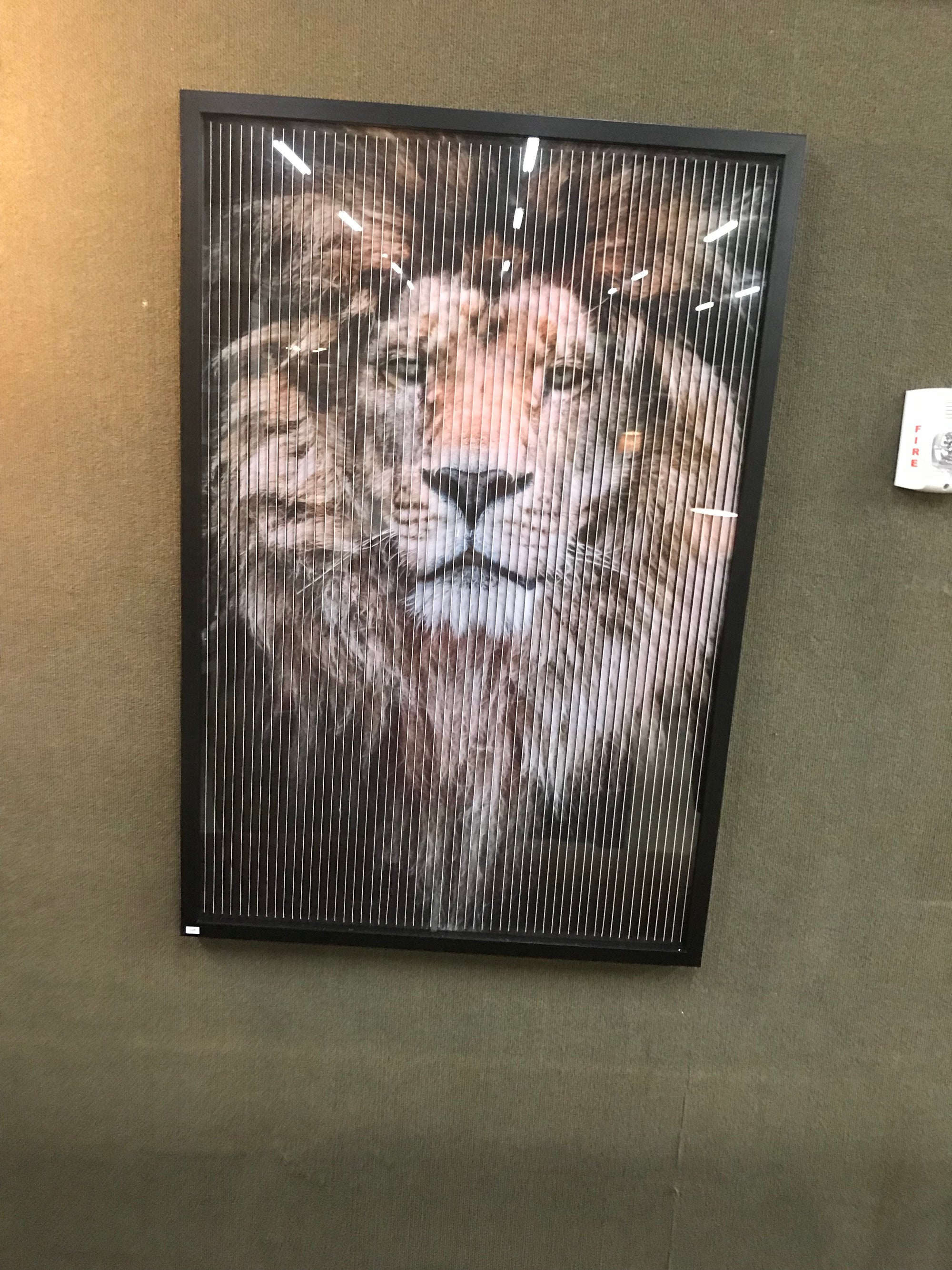 Multi Dimension Art Cheetah, Lion, Tiger
