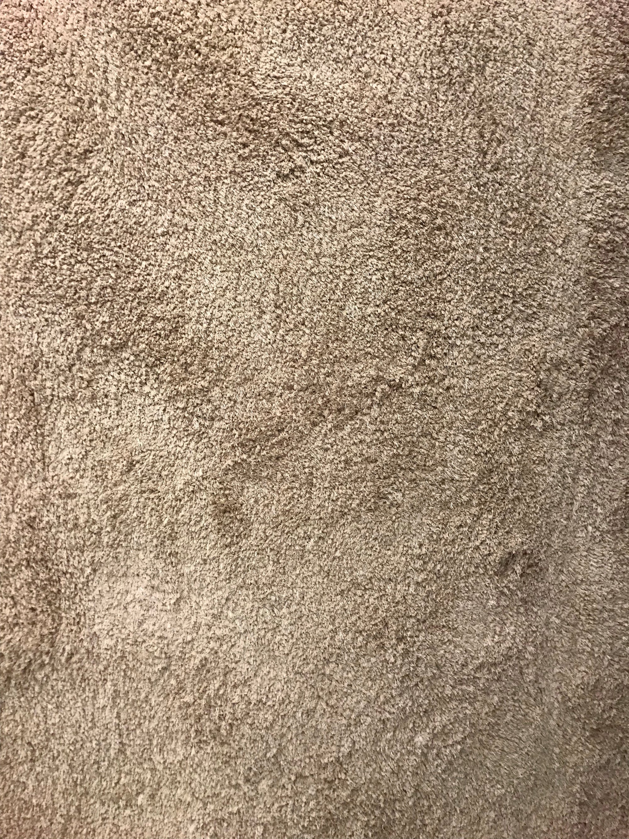 PS1692FIP Plush Shag Sand Rug 8 x 10