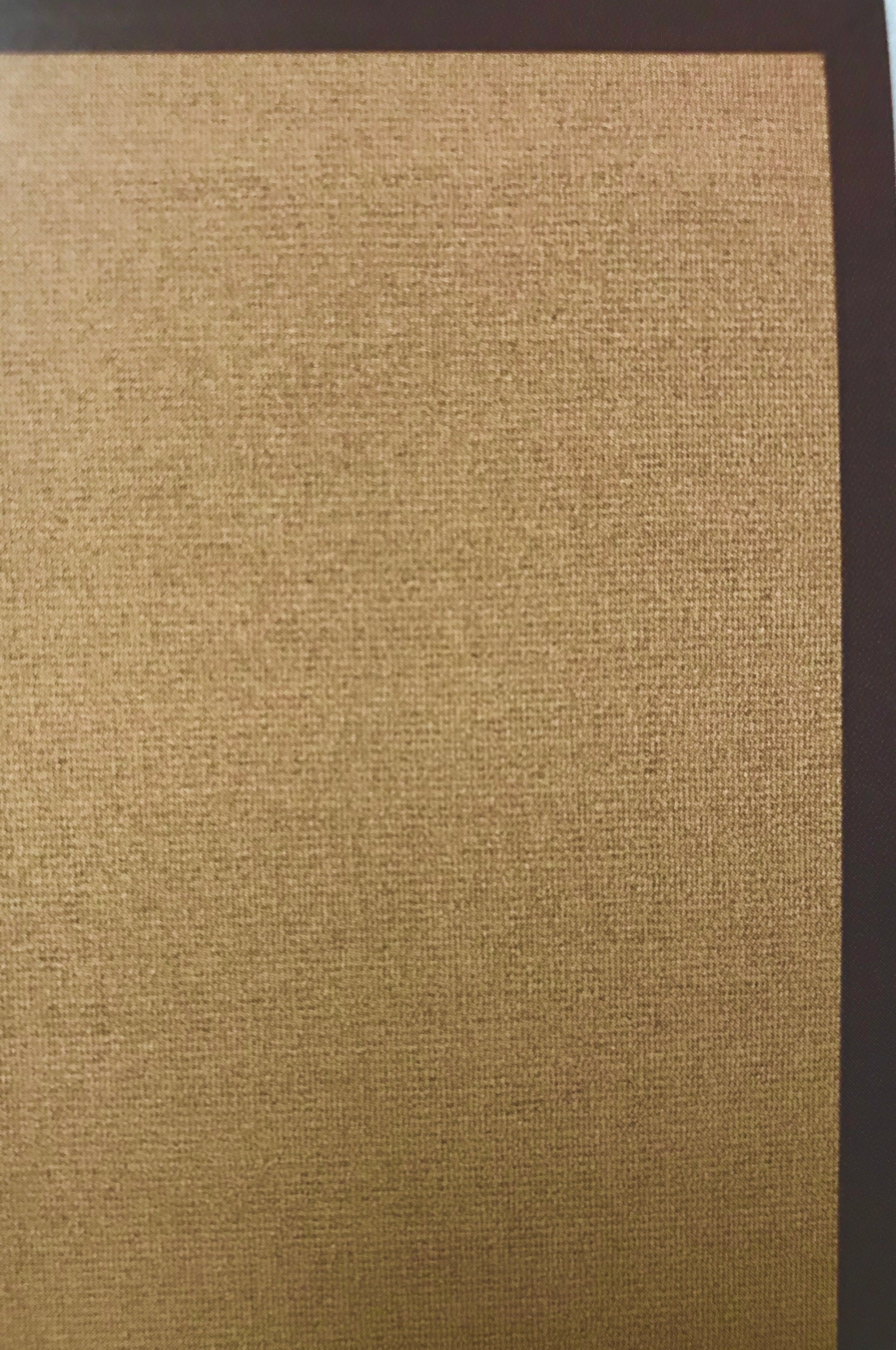 AT141792FIP Athena Cork with  Brown Bindind 8x11 Rug