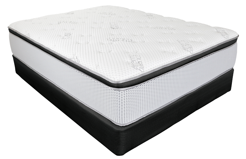 Splen 16.5" FM 638 PC FI