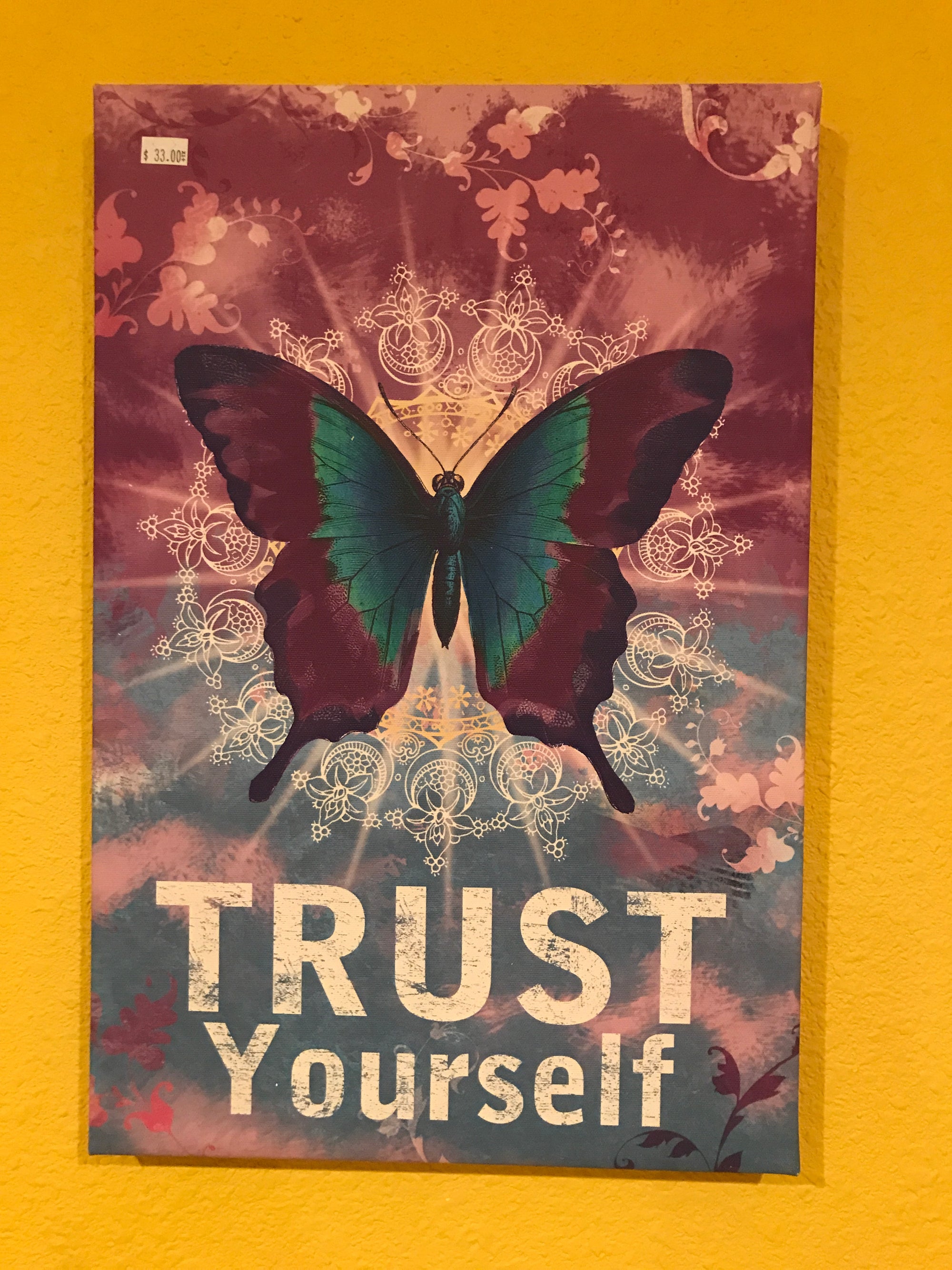 Canvas Butterfly Trust Fabulous Art