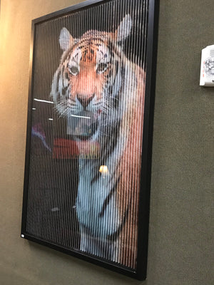 Multi Dimension Art Cheetah, Lion, Tiger